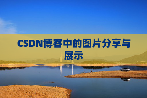 CSDN博客中的图片分享与展示